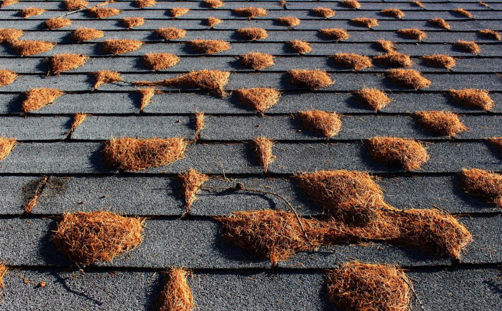 Portland Roof Repair